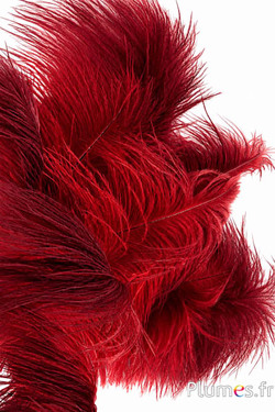 Struisvogel - 30-40 cm - rood-bordeaux
